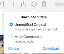 Download copies of photos from iCloud to Mac