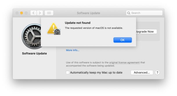 macoS Big Sur update not found