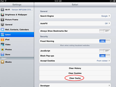 Clean up Safari Cache on iPad