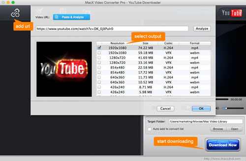Download youtube for mac safari Download youtube for mac safari