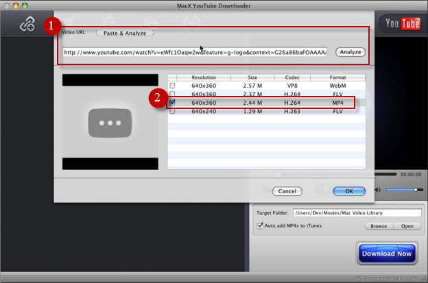 How To Download Youtube Videos Mac Realplayer