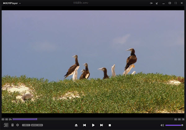 Media Player Windows 10