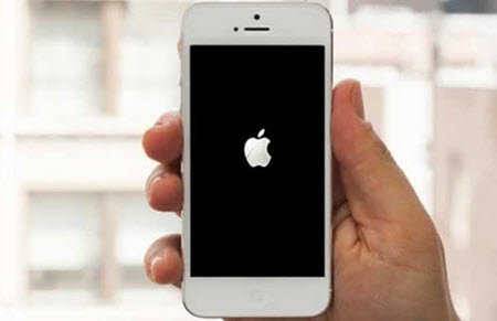  iPhone 8 Probleme mit zufälligem Neustart