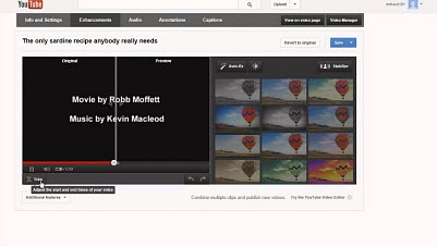 YouTube Video bearbeiten Online