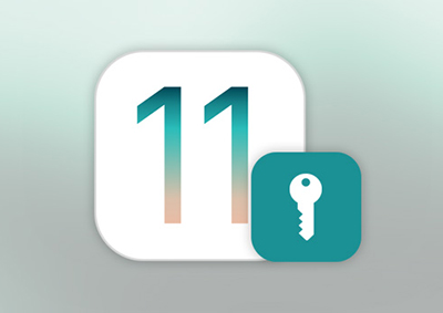 iOS 11 neue Funtkion Password Autofill for Apps funktioniert nicht