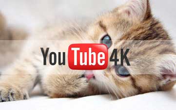 youtube video download 4k